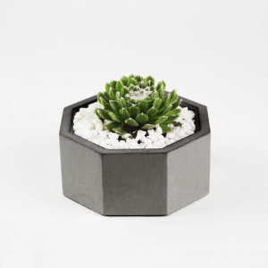 Octagon natural grey concrete planter – Large